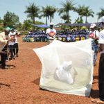 Campagne de distribution des moustiquaires en RDC CP:DR