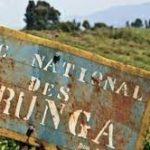Environnement: l’ICCN appelle les jeunes de Beni à s’approprier la concertation du parc des Virunga